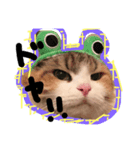 メルミュラ（個別スタンプ：4）