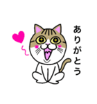 野良猫Ben①（個別スタンプ：2）
