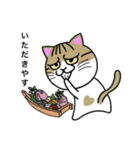 野良猫Ben①（個別スタンプ：3）