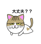 野良猫Ben①（個別スタンプ：4）