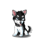 KleeMoji | Alaskan Klee Kai Stickers（個別スタンプ：1）