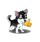 KleeMoji | Alaskan Klee Kai Stickers（個別スタンプ：2）