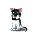 KleeMoji | Alaskan Klee Kai Stickers（個別スタンプ：4）