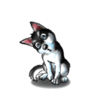 KleeMoji | Alaskan Klee Kai Stickers（個別スタンプ：7）