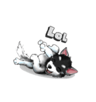 KleeMoji | Alaskan Klee Kai Stickers（個別スタンプ：8）