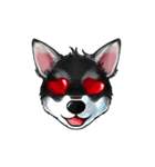 KleeMoji | Alaskan Klee Kai Stickers（個別スタンプ：10）