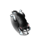 KleeMoji | Alaskan Klee Kai Stickers（個別スタンプ：11）