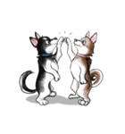 KleeMoji | Alaskan Klee Kai Stickers（個別スタンプ：12）