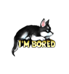 KleeMoji | Alaskan Klee Kai Stickers（個別スタンプ：15）
