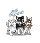 KleeMoji | Alaskan Klee Kai Stickers（個別スタンプ：16）