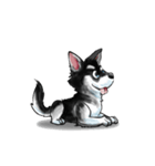 KleeMoji | Alaskan Klee Kai Stickers（個別スタンプ：17）