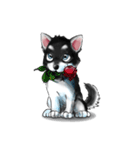KleeMoji | Alaskan Klee Kai Stickers（個別スタンプ：23）