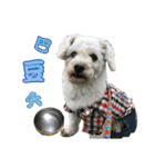 Du Du Chen（個別スタンプ：1）