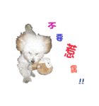 Du Du Chen（個別スタンプ：3）