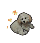 Du Du Chen（個別スタンプ：8）