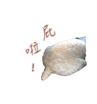Du Du Chen（個別スタンプ：25）
