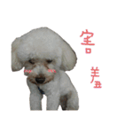 Du Du Chen（個別スタンプ：28）
