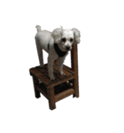 Du Du Chen（個別スタンプ：32）