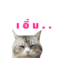 SUBFFY The Naughty Little Cat（個別スタンプ：7）