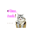 SUBFFY The Naughty Little Cat（個別スタンプ：9）