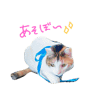 みるくのスタンプ1（個別スタンプ：1）