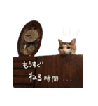 みるくのスタンプ1（個別スタンプ：7）