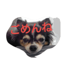 かわいいあずちゃん（個別スタンプ：5）