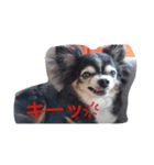 かわいいあずちゃん（個別スタンプ：7）