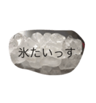 氷君（個別スタンプ：7）