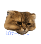 アンジェロのきもち。（個別スタンプ：3）