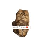 アンジェロのきもち。（個別スタンプ：5）