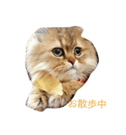 アンジェロのきもち。（個別スタンプ：7）