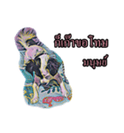 Patsy（個別スタンプ：6）