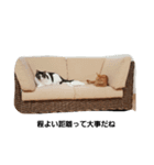 めいときなのつぶやき（個別スタンプ：8）