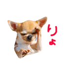 ゆずきち子社長 part1（個別スタンプ：4）