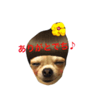 ゆずきち子社長 part1（個別スタンプ：6）