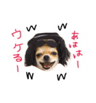 ゆずきち子社長 part1（個別スタンプ：15）