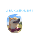 リィぼんwithさく（個別スタンプ：1）