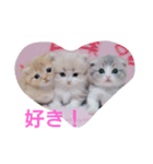 あそぼ！アニマルズ（個別スタンプ：2）