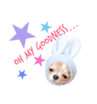 Chibi＆Noel 1（個別スタンプ：5）