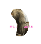 景虎殿（個別スタンプ：7）