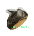 景虎殿（個別スタンプ：8）