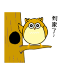 DODO Owl_Sticker1（個別スタンプ：5）