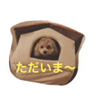 モナくん1（個別スタンプ：1）