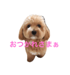 モナくん1（個別スタンプ：3）