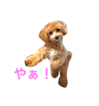 モナくん1（個別スタンプ：9）