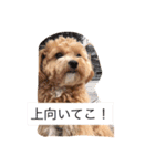 モナくん1（個別スタンプ：15）