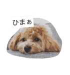 モナくん1（個別スタンプ：16）