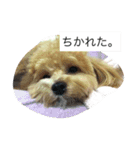 モナくん2（個別スタンプ：13）