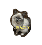 獣's（個別スタンプ：1）
